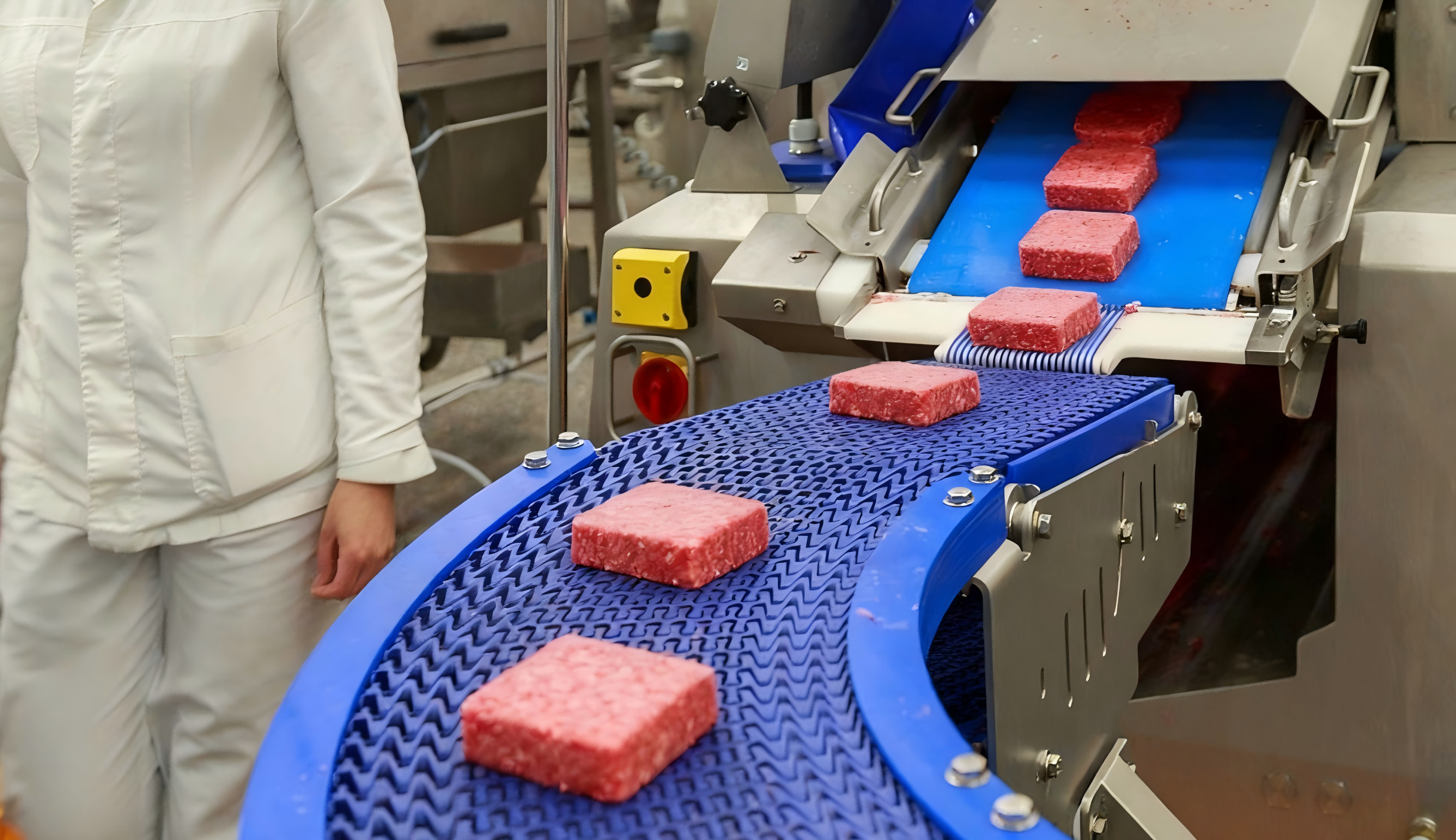 Innovation for Fresh Food Labeling Solution 